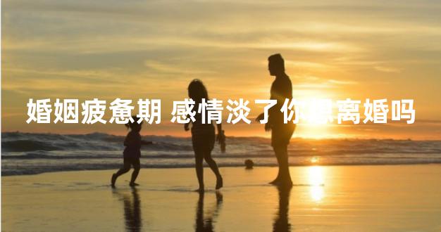 婚姻疲惫期 感情淡了你想离婚吗